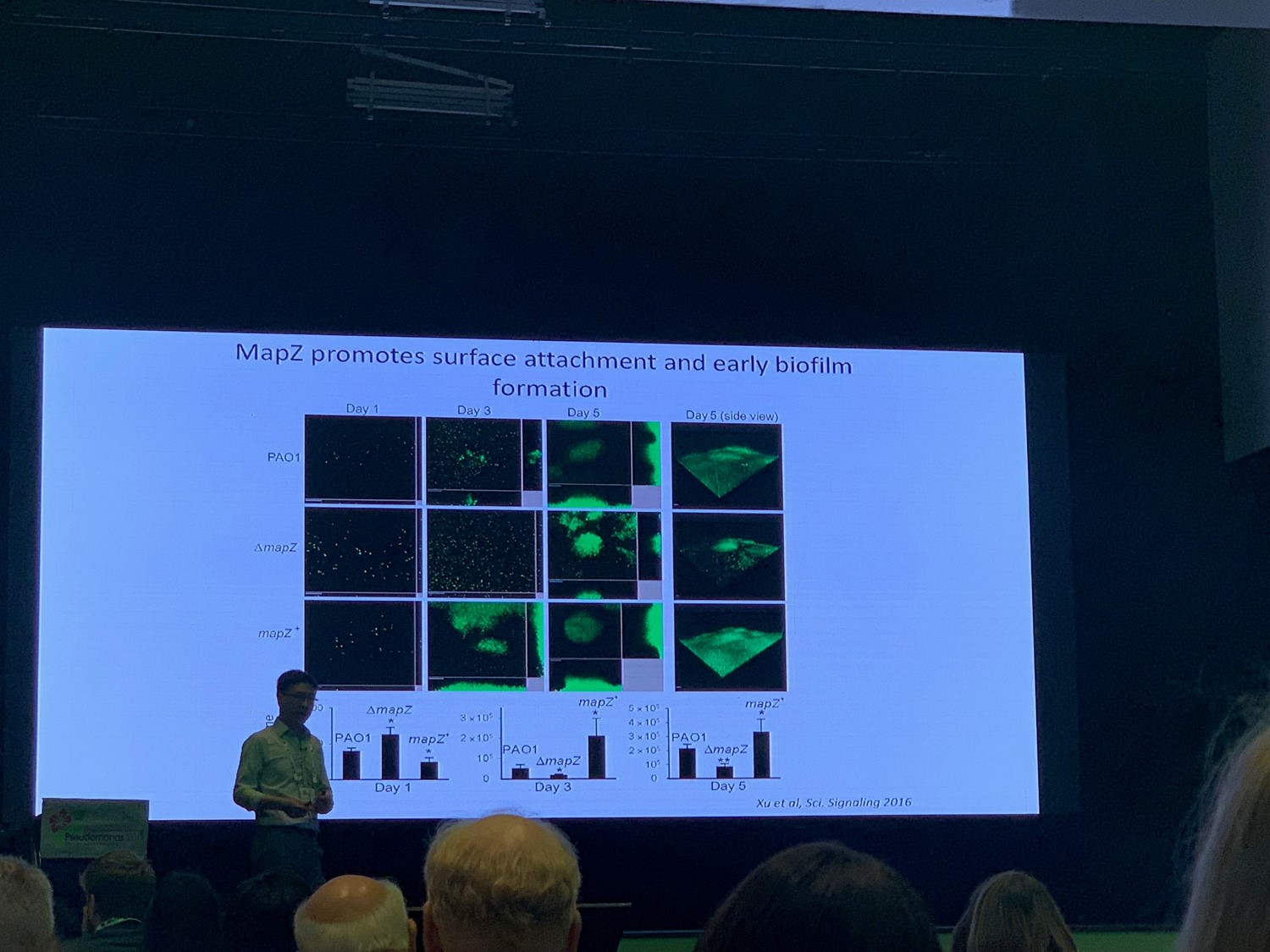 Pseudomonas 2019 참가 - 말레이시아, 쿠알라룸프르, 201907022-26 2.jpg