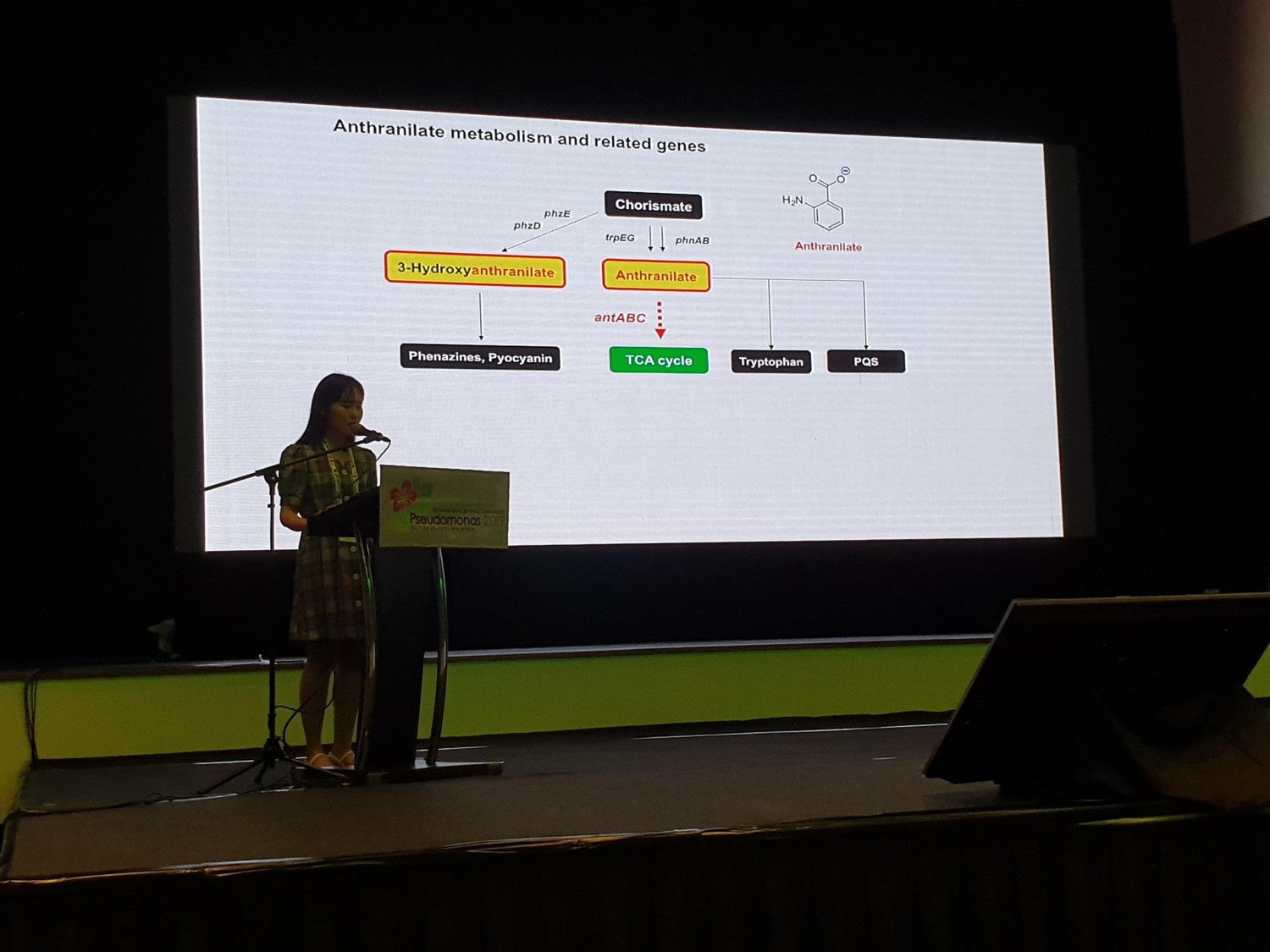 Pseudomonas 2019 참가 - 말레이시아, 쿠알라룸프르, 201907022-26 103.jpg