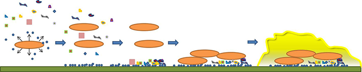 Mediated by surface coating with self-producing materials